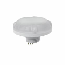 Motion Sensor for ARL2, RHB, LHB, RCP & CRN Series Lights, 12V