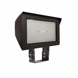 80-150W ARCY-Line TR Large Area Lights, 277-480V, Selectable CCT, BZ