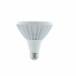 32W LED PAR38 Jewelry Bulb, E26, 3300 lm, 120V-277V, 12000K