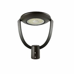 EnVision 35/50/70W LED Post Top Fixture, 120V-277V, Selectable CCT, Bronze