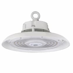 100W LED UFO High Bay w/ 6-ft Whip, 13800 lm, 120V-277V, 4000K, White