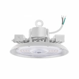 20-150W RHB3 UFO High Bays, 10' Whip, 120-277V, Selectable CCT, White