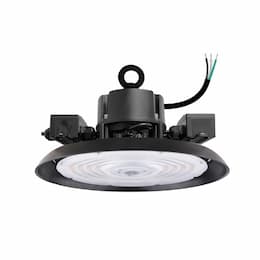 180-240W RHB3 UFO High Bays, 10' Whip, 277-480V, Selectable CCT, Black