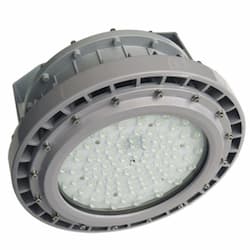 80W Explosion Proof LED Baylight, SJTW, 16/3 AWG, 11200 lm, 5000K