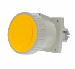 20A Pin & Sleeve Straight Receptacle, 1PH, 2P/3W, 125V, Yellow & Gray