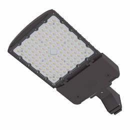 75/90/120/150W LED Area Light w/ PC & FDM, T2 Left, Dim, 200V-528V, BZ