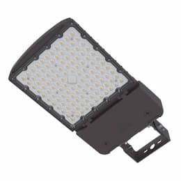 75/90/120/150W LED Area Light w/ YM, T2 Lens, 120-277V, Select CCT, WH