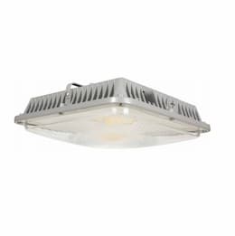 60W LED Canopy Light, CCT & Wattage Adjustable, 7861 lm, 120V-277V, Gray