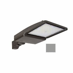 110W LED Shoebox Area Light w/ Direct Arm Mount, 0-10V Dim, 15780 lm, 3000K, Grey