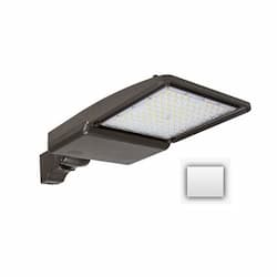 110W LED Shoebox Area Light, 5" Round Pole Mount, 0-10V Dim, 17487 lm, 5000K, White