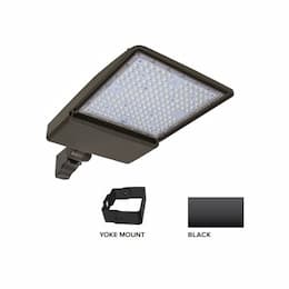 250W LED Shoebox Area Light w/ Yoke Mount, 0-10V Dim, 38043 lm, 3000K, Black