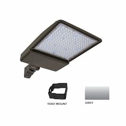 250W LED Shoebox Area Light w/ Yoke Mount, 0-10V Dim, 38043 lm, 3000K, Grey