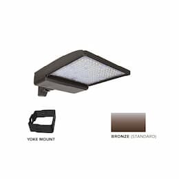 250W LED Shoebox Area Light w/ Yoke Mount, 0-10V Dim, 480V, 40093 lm, 4000K, Bronze