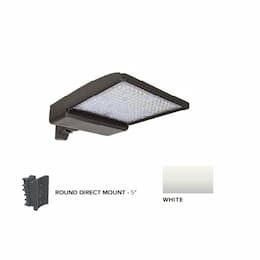 250W LED Shoebox Area Light, 5" Round Pole Mount, 0-10V Dim, 480V, 40093 lm, 4000K, White