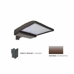 250W LED Shoebox Area Light w/ Direct Arm Mount, 0-10V Dim, 42159 lm, 5000K, Bronze