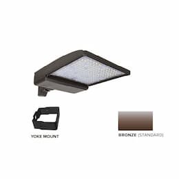 250W LED Shoebox Area Light w/ Yoke Mount, 0-10V Dim, 42159 lm, 5000K, Bronze