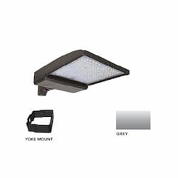 250W LED Shoebox Area Light w/ Yoke Mount, 0-10V Dim, 42159 lm, 5000K, Grey