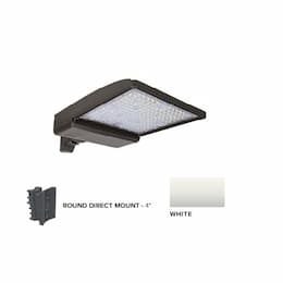 250W LED Shoebox Area Light, 4" Round Pole Mount, 0-10V Dim, 480V, 42159 lm, 5000K, White