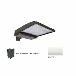 250W LED Shoebox Area Light w/ 4" Round Pole Mount, 0-10V Dim, 42159 lm, 5000K, White