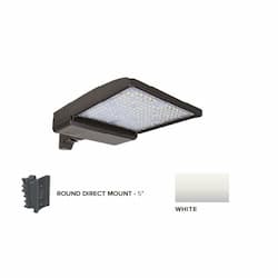 250W LED Shoebox Area Light w/ 5" Round Pole Mount, 0-10V Dim, 42159 lm, 5000K, White