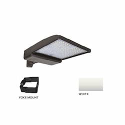 250W LED Shoebox Area Light w/ Yoke Mount, 0-10V Dim, 42159 lm, 5000K, White