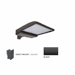 320W LED Shoebox Area Light w/ Direct Arm Mount, 0-10V Dim, 43894 lm, 3000K, Black