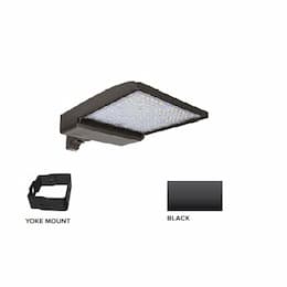 320W LED Shoebox Area Light w/ Yoke Mount, 0-10V Dim, 43894 lm, 3000K, Black