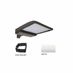 320W LED Shoebox Area Light w/ Yoke Mount, 480V, 0-10V Dim, 46260 lm, 4000K, White