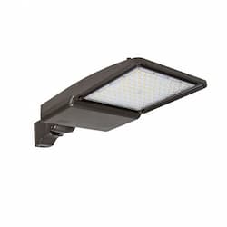 ESL Vision 75W LED Shoebox Area Light, 4" Round Pole Mount, 0-10V Dim, 528V, 11456 lm, 4000K, Bronze