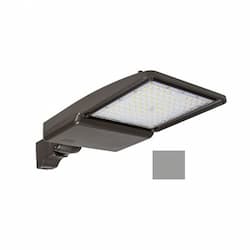 ESL Vision 75W LED Shoebox Area Light, 5" Round Pole Mount, 0-10V Dim, 528V, 11456 lm, 4000K, Grey