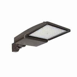 75W LED Shoebox Area Light, 5" Round Pole Mount, 0-10V Dim, 528V, 12046 lm, 5000K, Bronze