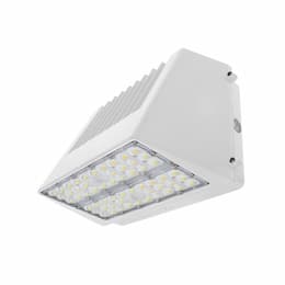 ESL Vision 65/85/110W LED Wall Pack, Full Cut-Off, 120V-277V, Selectable CCT, WH