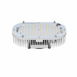 150W Multi-Use LED Retrofit Kit, Turtle Friendly, 0-10V Dimmable, 13500 lm, 120V-277V