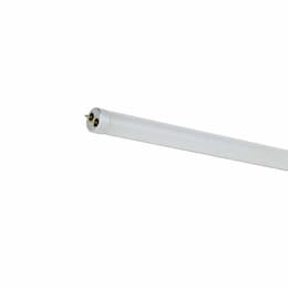 4-ft 12W LED T8 Tube, Line Voltage, G13, 1932 lm, 120V-240V, 5000K