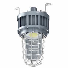 40W LED Hazard Jelly Jar Light, Class 1, Div 1, 120V-277V, 5000K