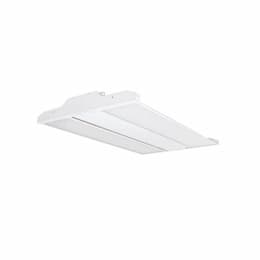 2x2 110W LED Lensed High Bay, 1-10V Dimmable, 14510 lm, 120V-277V, 4000K, White