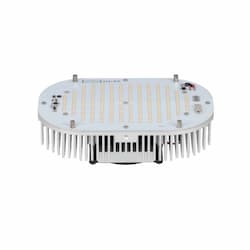 200W Multi-Use LED Retrofit Kit, Turtle Friendly, 0-10V Dimmable, 16000 lm, 347V-480V