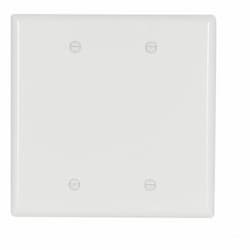 2-Gang Mid-Size Blank Wallplate, White