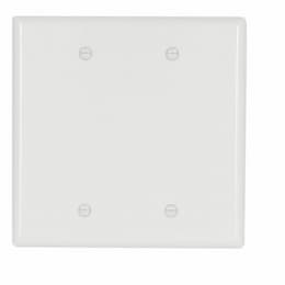 Eaton Wiring 2-Gang Mid-Size Blank Wallplate, White