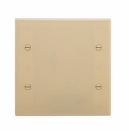 2-Gang Blank Wall Plate, Standard Size, Thermoset, Ivory