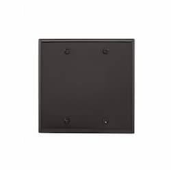 2-Gang Blank Wall Plate, Standard, Black