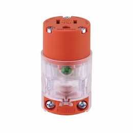 Eaton Wiring 15 Amp LED Straight Blade Connector, #18-12 AWG, 5-15R, 125V, Orange