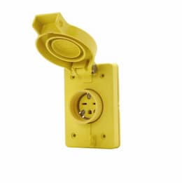 15 Amp NEMA 6-15R 250V Watertight Duplex Receptacle