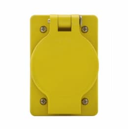 20 Amp Locking Receptacle, Watertight, Non-NEMA, Yellow