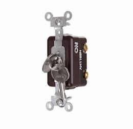 20 Amp Locking Switch, Corbin Type, Double Pole, Brown