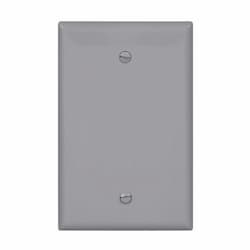 1-Gang Blank Wall Plate, Mid-Size, Polycarbonate, Gray