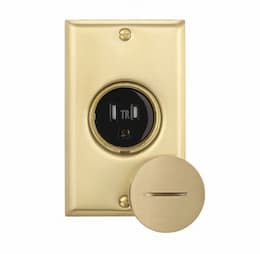 15 Amp Floor Box Receptacle, Tamper Resistant, Brass