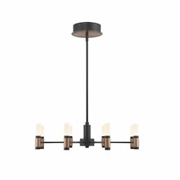 24-in 38W Albany Chandelier, 1-Tier, 8-Light, 120V, 3000K, Black/Brass