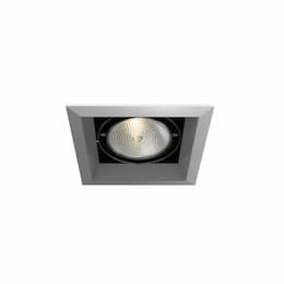 75W Recessed Light w/ Trim, 1-Light, PAR30, 120V, Platinum/Black