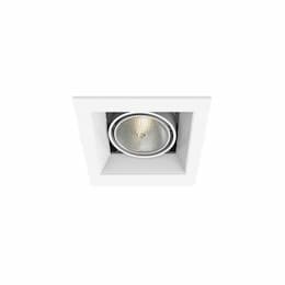 50W Recessed Light w/ Trim, 1-Light, PAR20, 120V, White/White